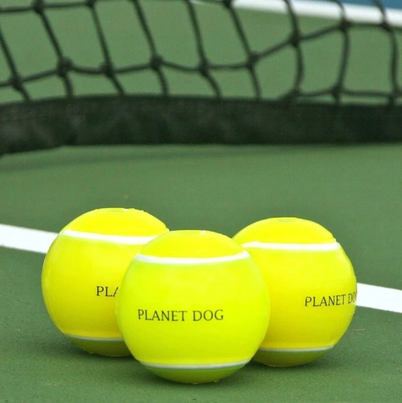 Planet Dog Orbee-Tuff Tennis Ball