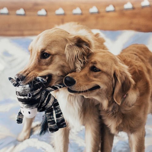 KONG Yarnimals Dog