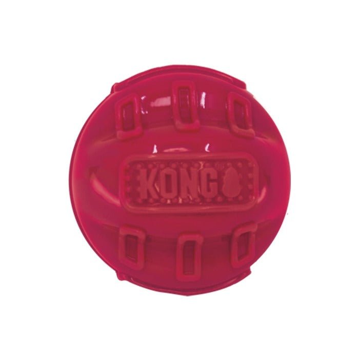 KONG Beezles Ball Assorted Dog Toy