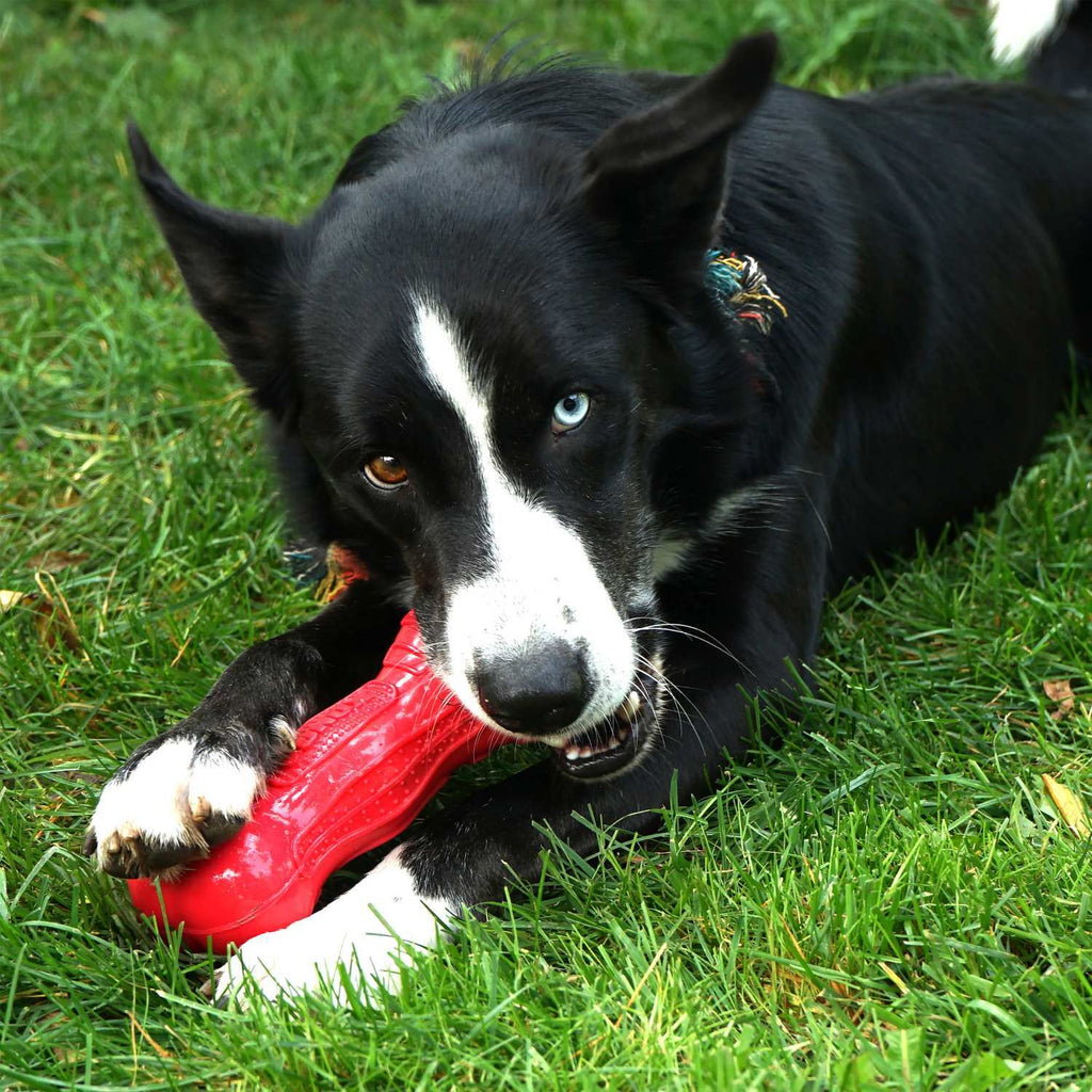 KONG Beezles Tug Dog Toy in Assorted Colours