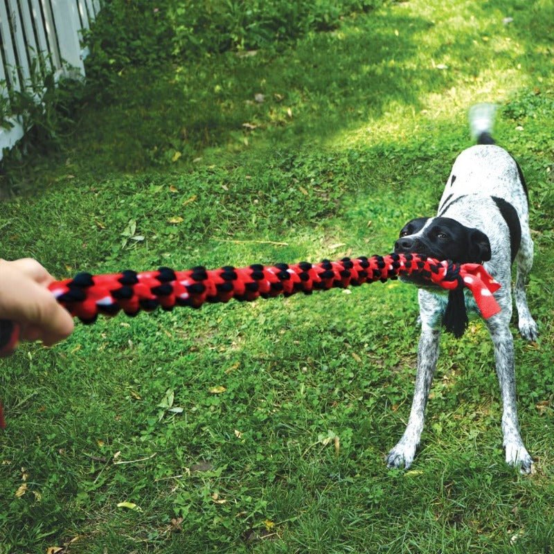 Kong Signature Rope Dual Knot With Ball Dog Toy