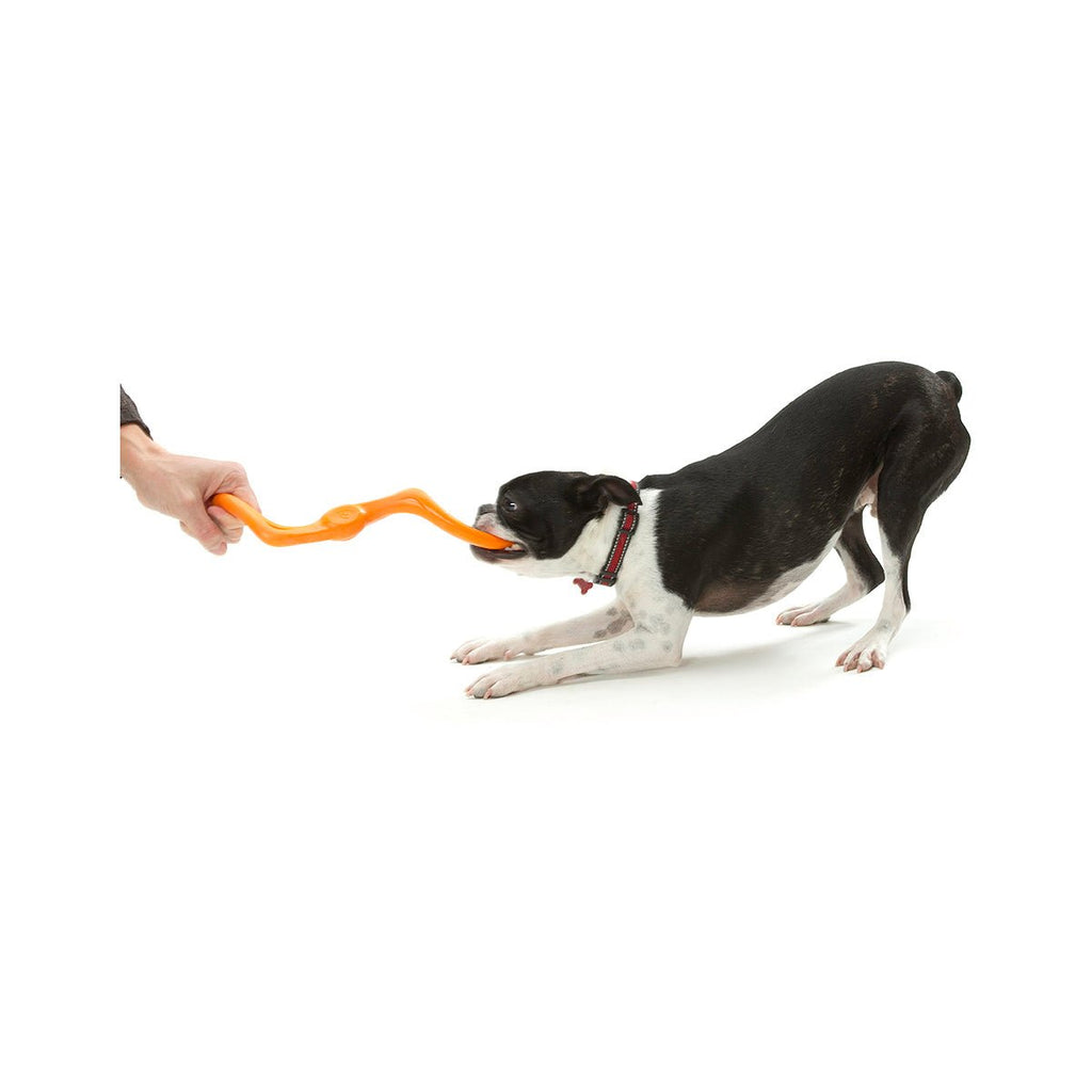 West Paw Bumi Tug Fetch Zogoflex Dog Toy