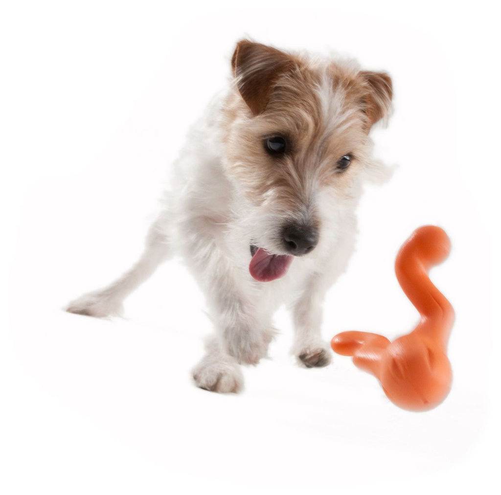 West Paw Tizzi Treat Tug Tough Dog Toy