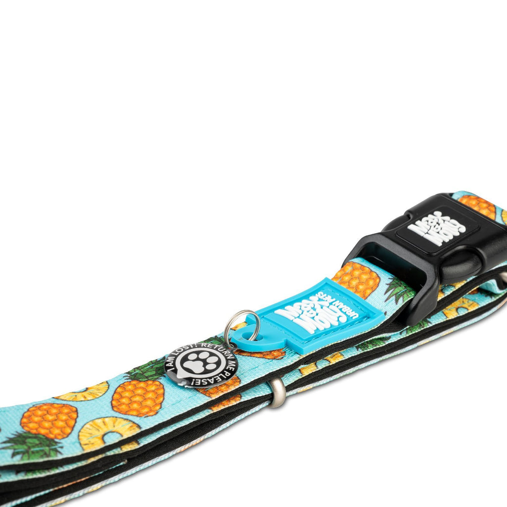 Max & Molly Smart ID Dog Collar - Sweet Pineapple