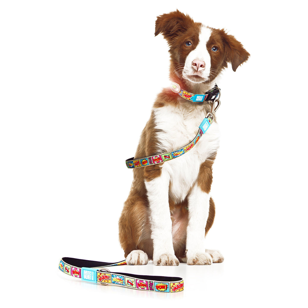 Max & Molly Dog Leash - Comic