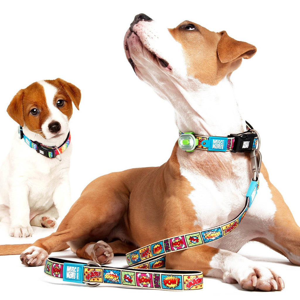 Max & Molly Dog Leash - Comic