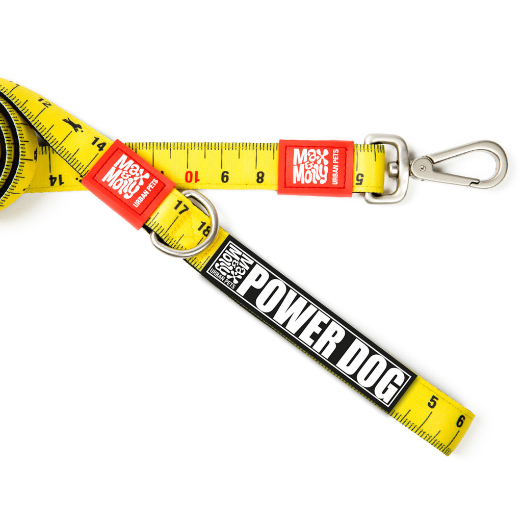 Max & Molly Dog Leash - Ruler