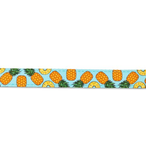 Max & Molly Gotcha Smart ID Cat Collar - Sweet Pineapple