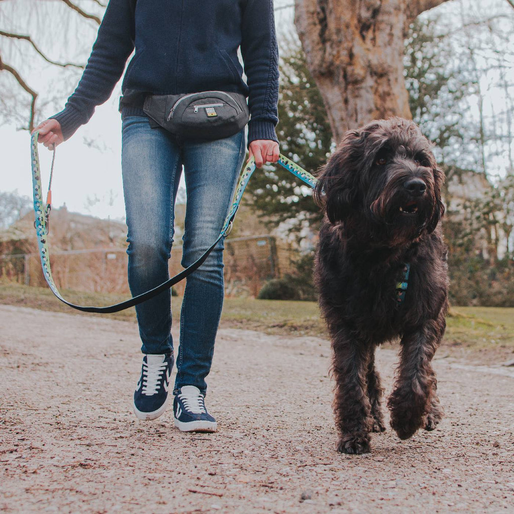 Max & Molly Waist Walking Bum Bag - Silver