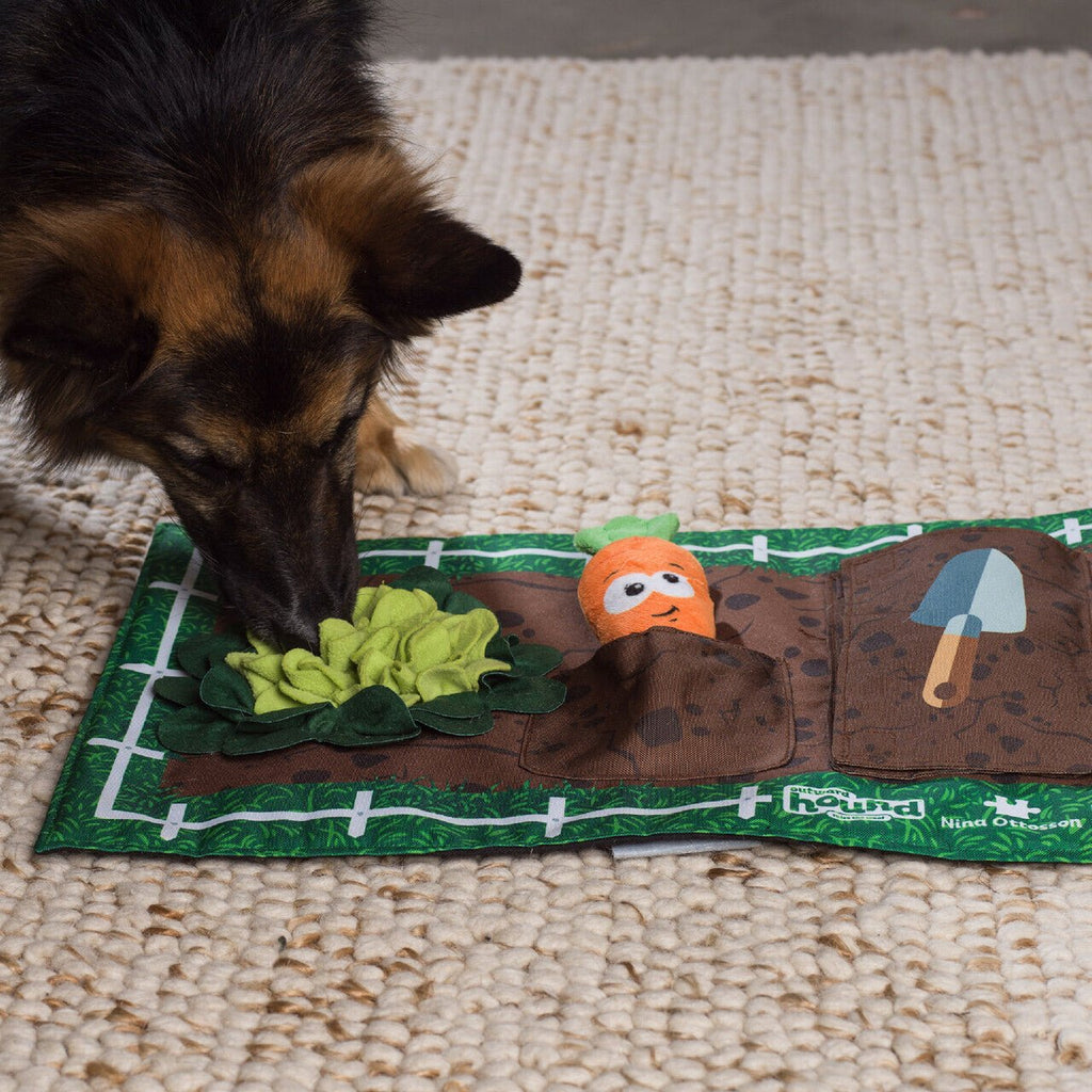 Nina Ottosson Interactive Snuffle Activity Puzzle Mat for Dogs - Garden