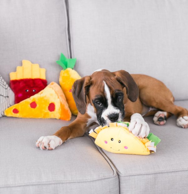 Zippy Paws NomNomz Squeaker Dog Toy - Jumbo Taco