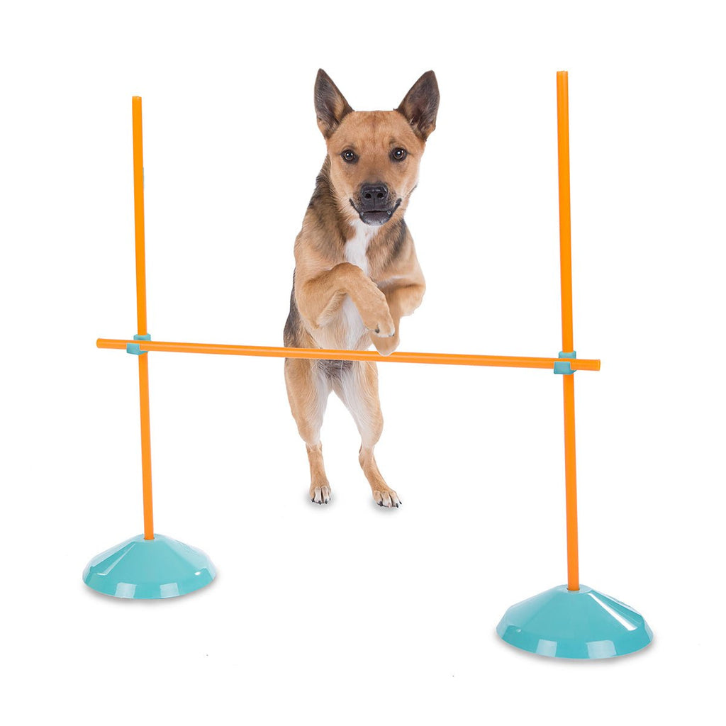 Outward Hound Zip & Zoom Indoor Dog Agility Training Kit