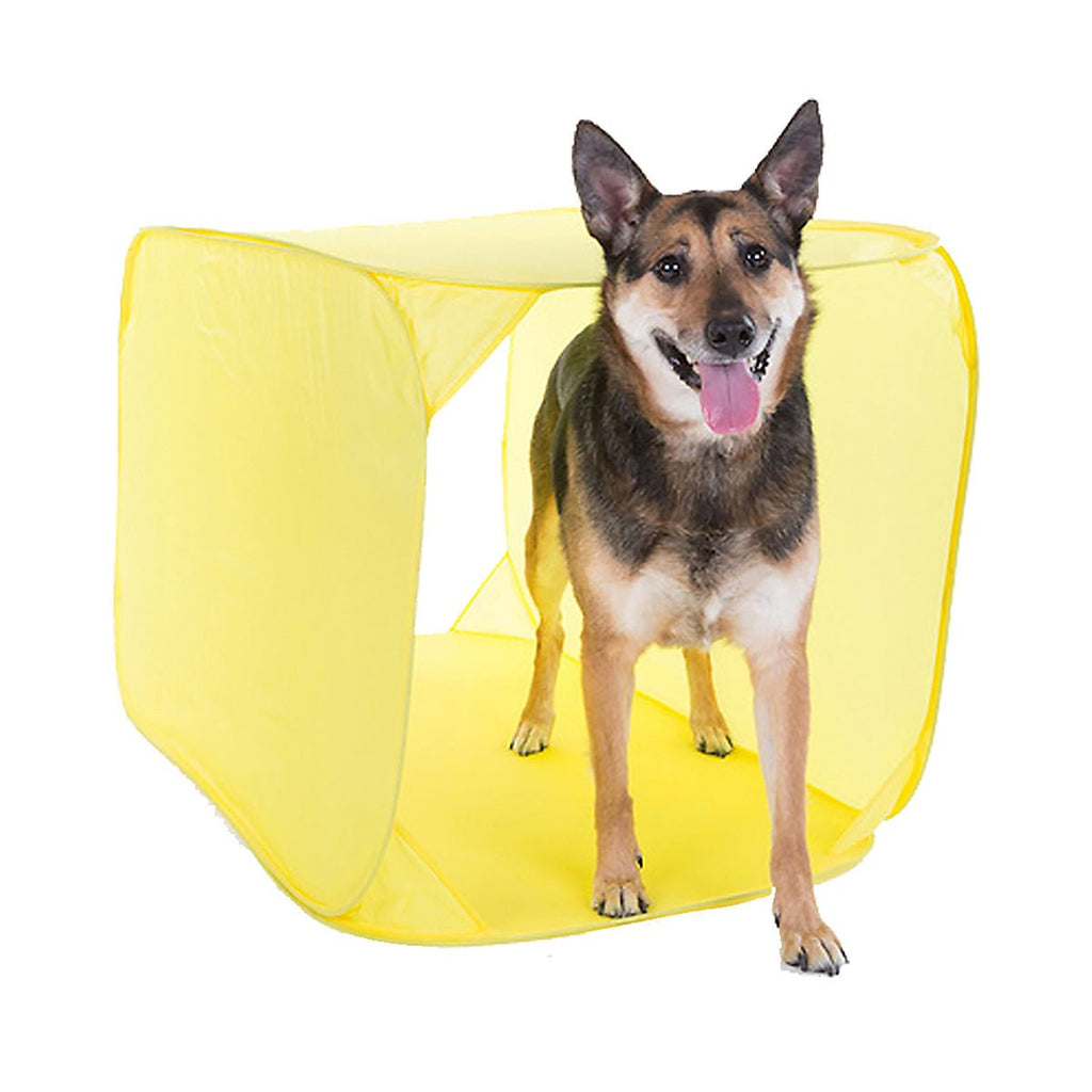 Outward Hound Zip & Zoom Indoor Dog Agility Training Kit