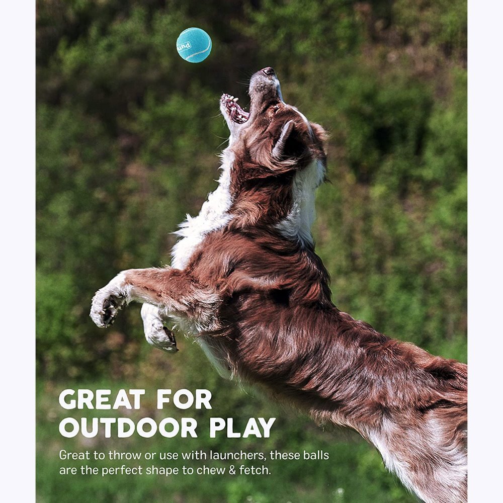 Outward Hound Fetch Squeaker Ballz Dog Toy - Large - 2 Pack