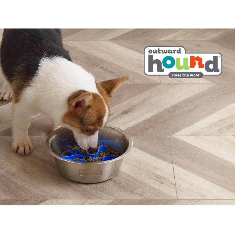 Outward Hound Stainless Steel Fun Feeder with Reversible Difficulty Insert