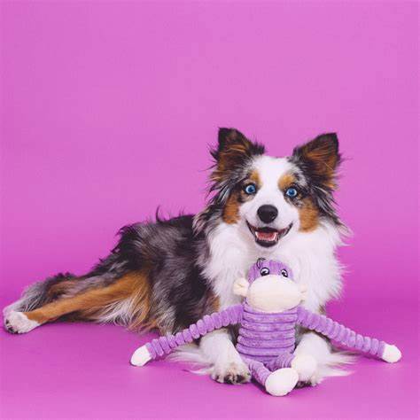 Zippy Paws Spencer the Crinkle Monkey Long Leg Plush Dog Toy - Purple