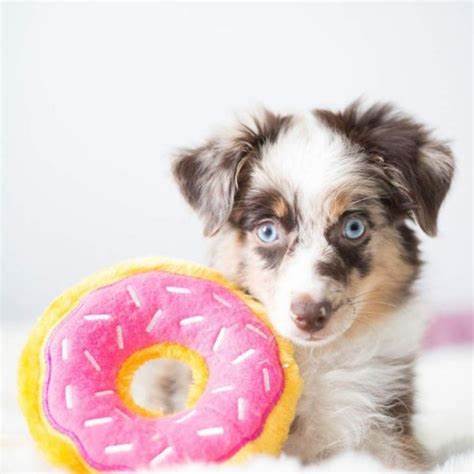 Zippy Paws Mini Donutz Squeaker Dog Toy - Strawberry