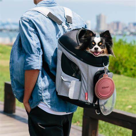 Ibiyaya Quick Bite Collapsible Travel Pet Bowl – Pink