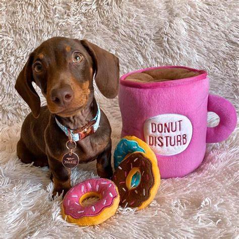 Zippy Paws Burrow Interactive Dog Toy - Coffee and Donutz with 3 Squeaky Donuts