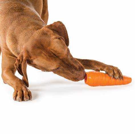 Planet Dog Orbee-Tuff Carrot
