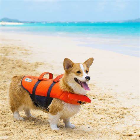 Outward Hound "Granby Splash" Life Jacket