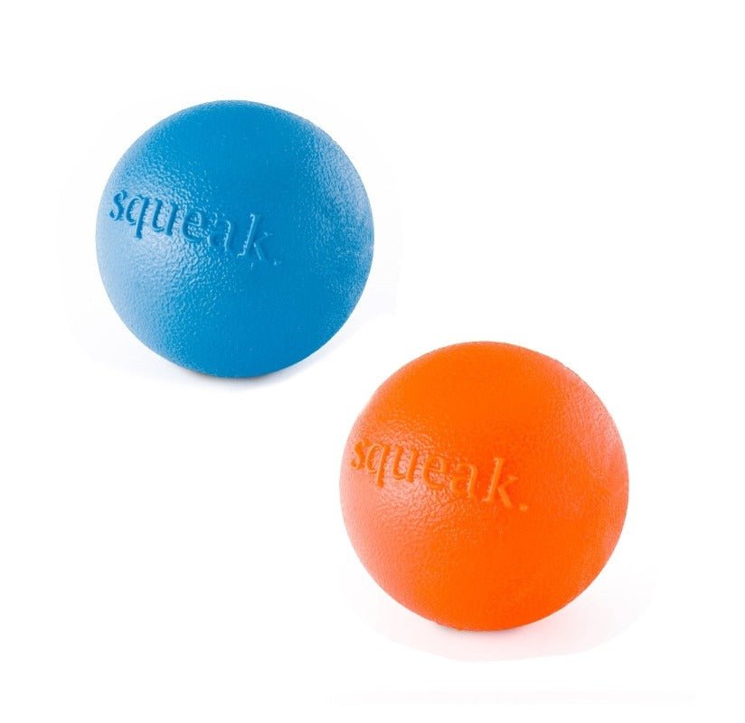 Planet Dog Orbee-Tuff Squeak Ball