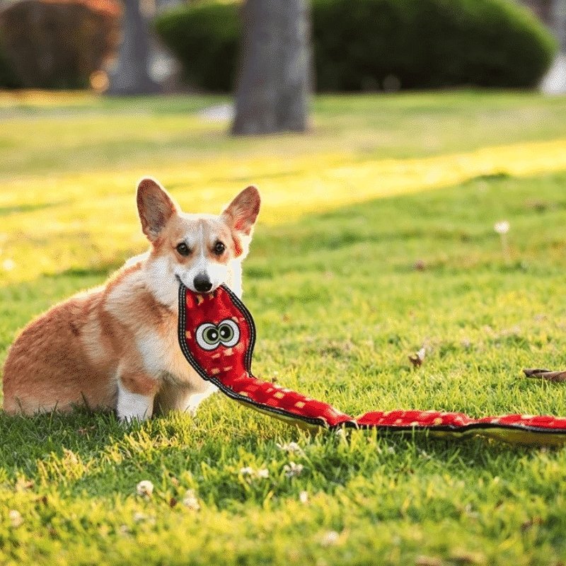 Outward Hound Tough Seamz Snake 3-Squeaker