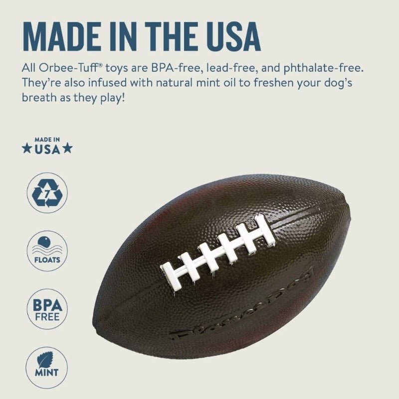 Planet Dog Orbee-Tuff Football