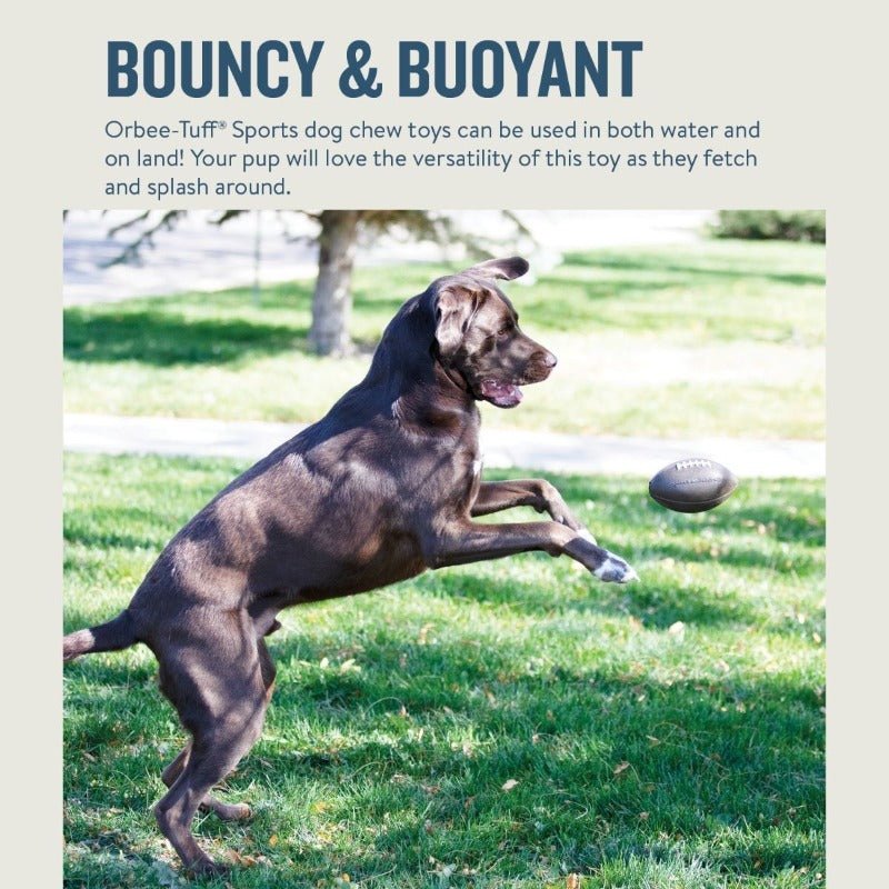 Planet Dog Orbee-Tuff Football