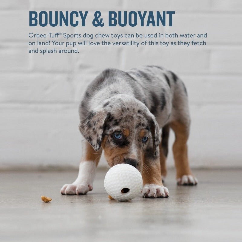 Planet Dog Orbee-Tuff Golfball