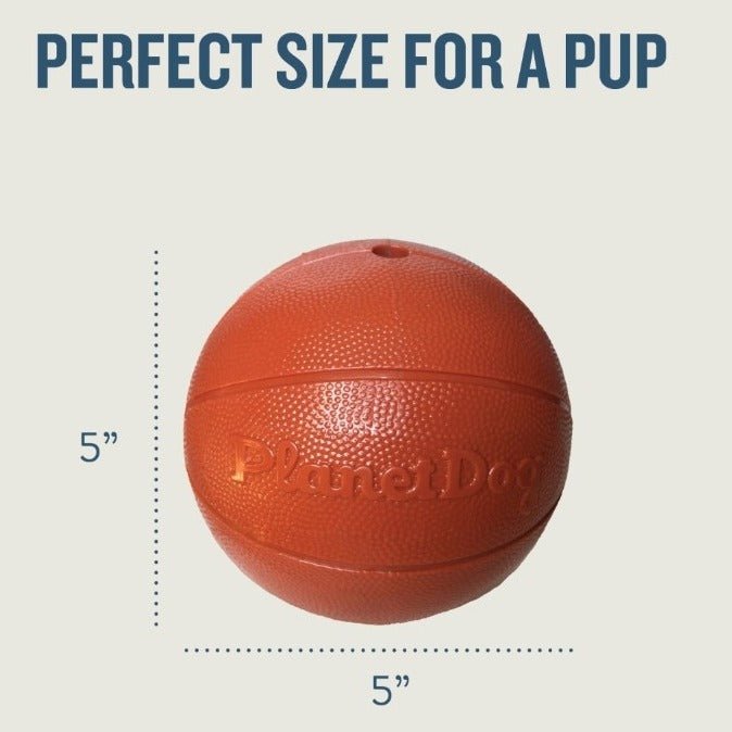 Planet Dog Orbee-Tuff Basketball