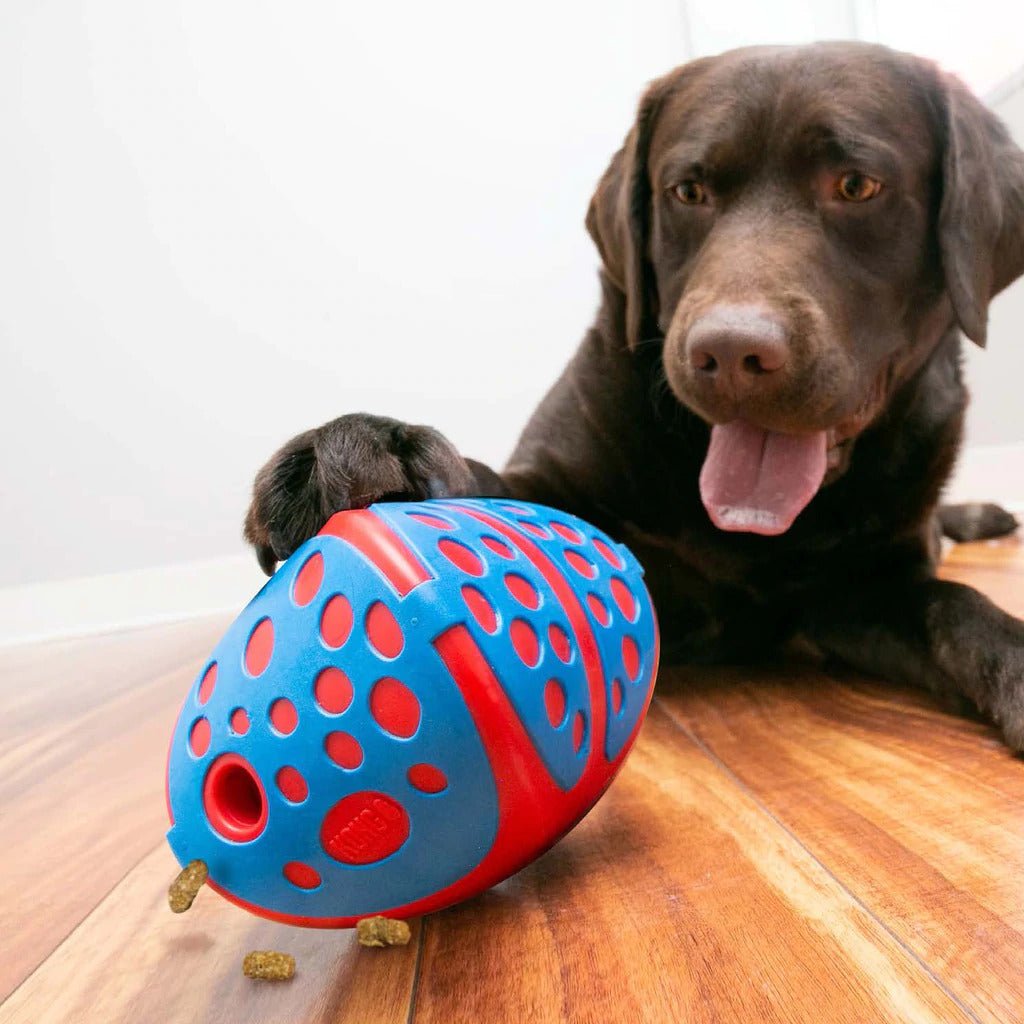KONG Rewards Wally Interactive Treat Dispenser