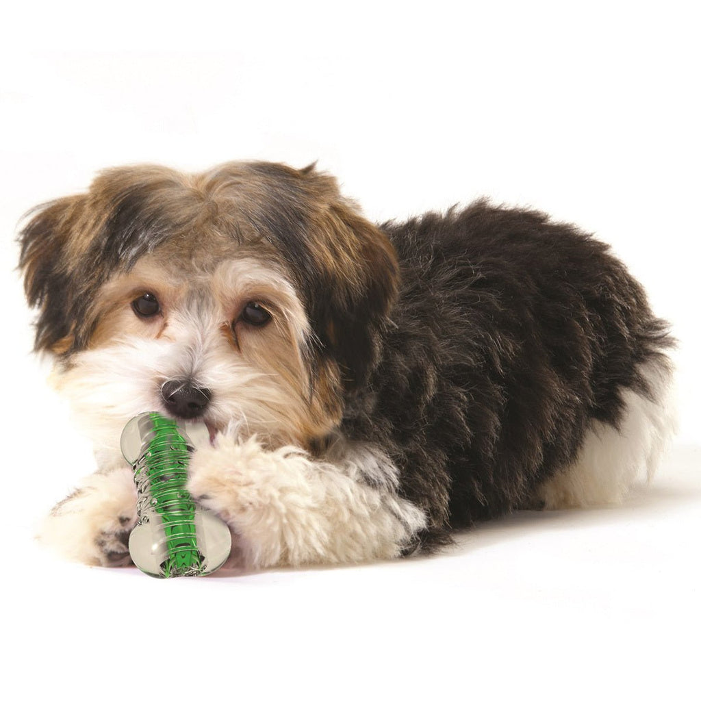 Petstages Crunchcore Dog Toy