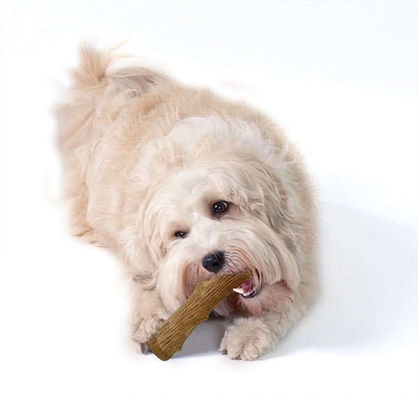Petstages dogwood stick online australia