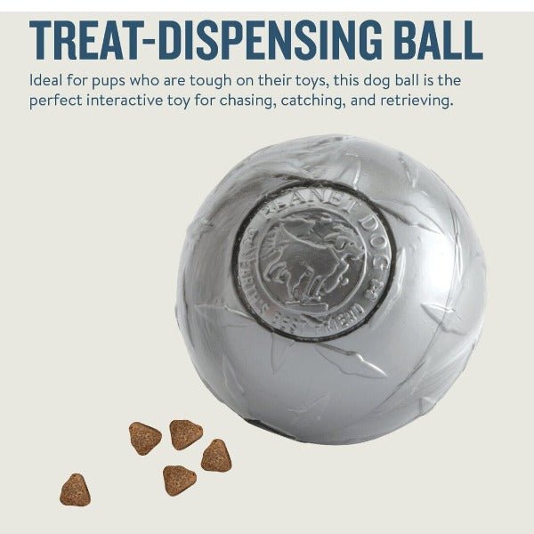 Planet Dog Orbee-Tuff Diamond Plate Treat-Dispensing Dog Toy - Silver