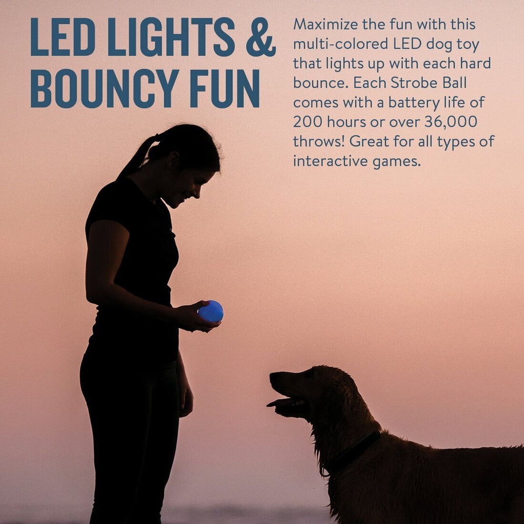 Planet Dog Orbee-Tuff Strobe Ball Light Up Dog Toy - Glow in the Dark