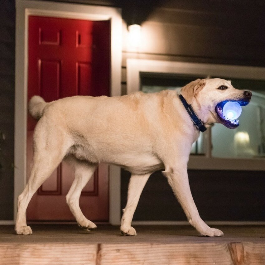 Planet Dog Orbee-Tuff Strobe Ball Light Up Dog Toy - Glow in the Dark