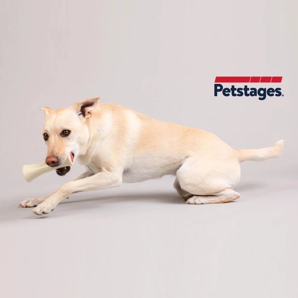 Petstages Alpha Core Bone Alternative Dog Chew Toy