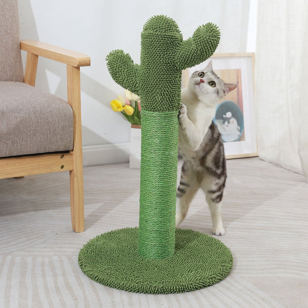 PaWz 67cm Cactus Cat Scratching Post - Green