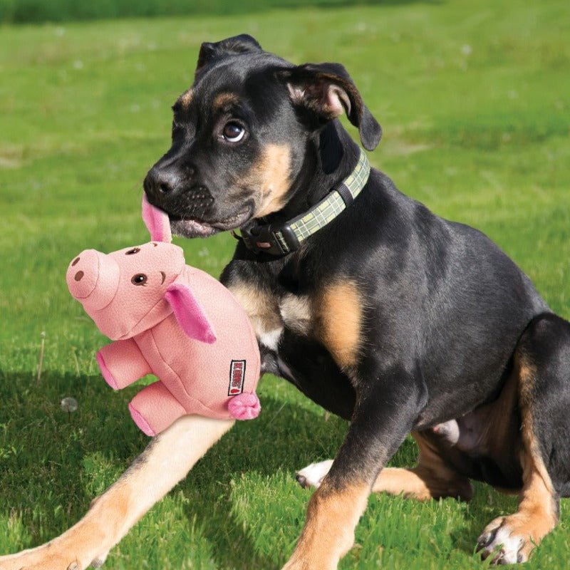 KONG Phatz Pig - 3 Units