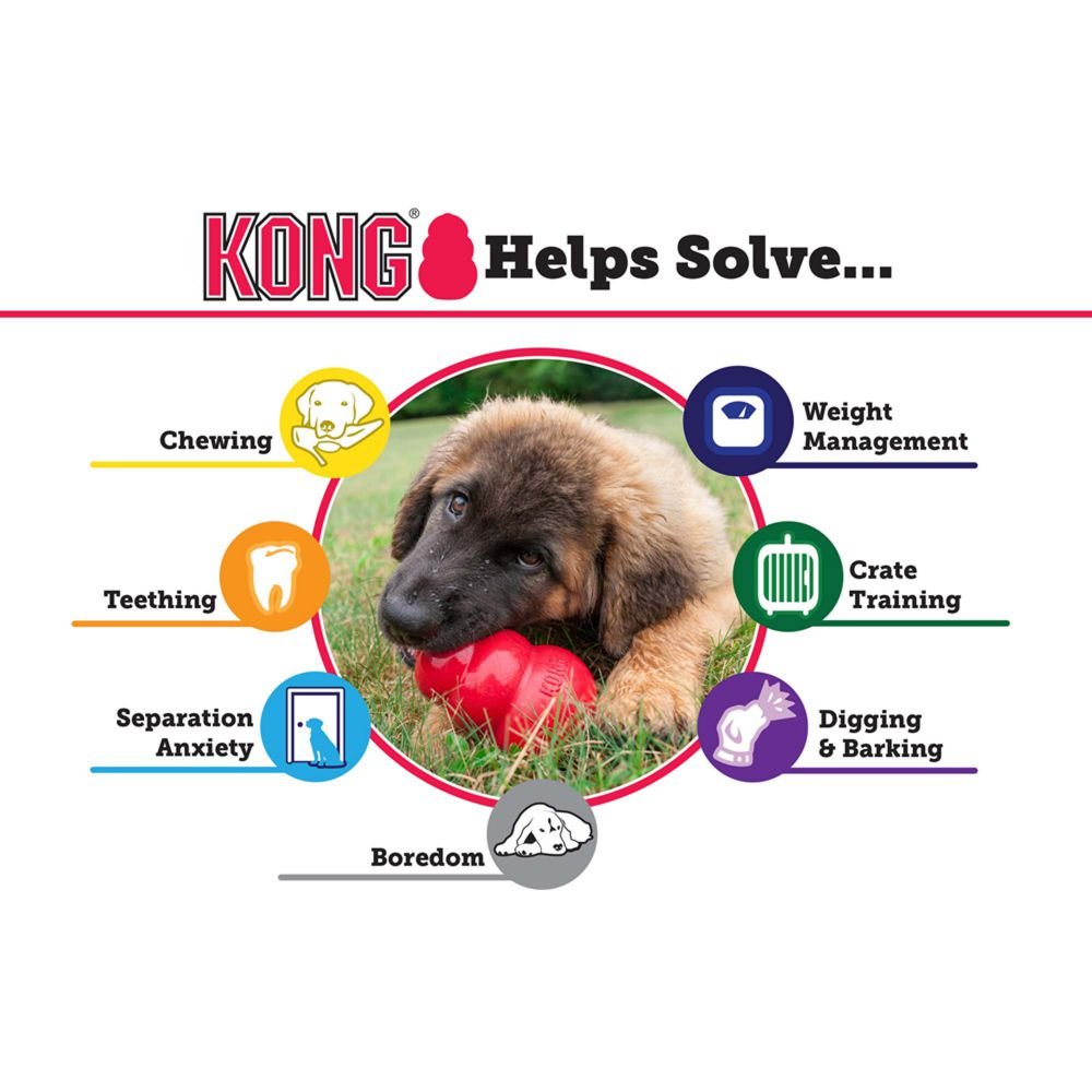 KONG Extreme Black - Small