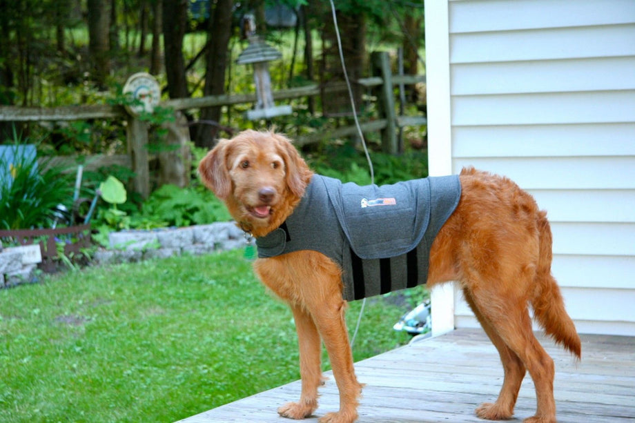 ThunderShirt Anti Anxiety Vest for Dogs Sizes XS XL Discount