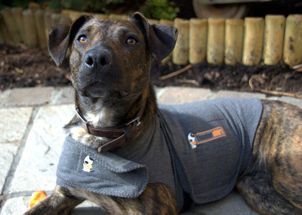 ThunderShirt Anti-Anxiety Vest for Dogs - Sizes XS-XL