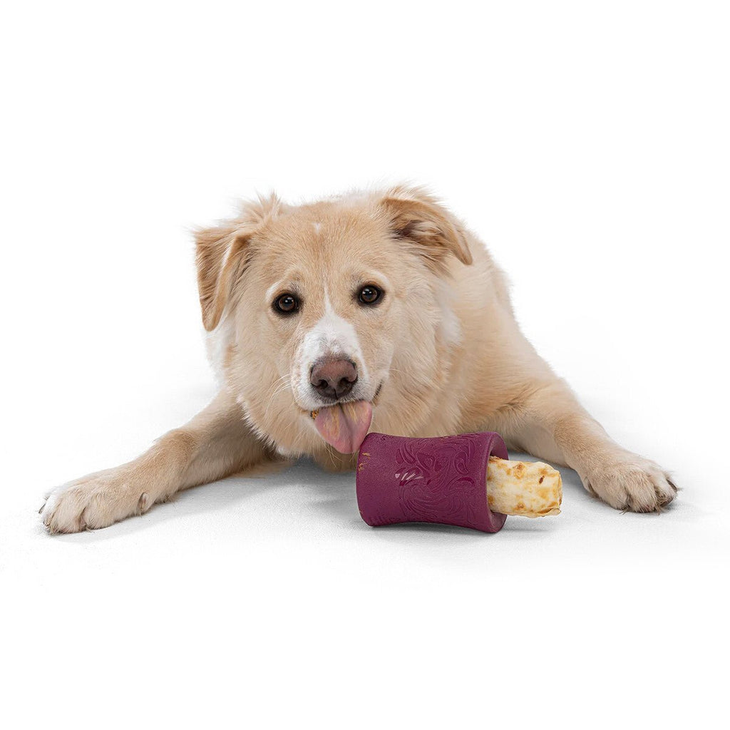 West Paw Funnl Dog Treat & Chew Hiding Toy for Moderate Chewers