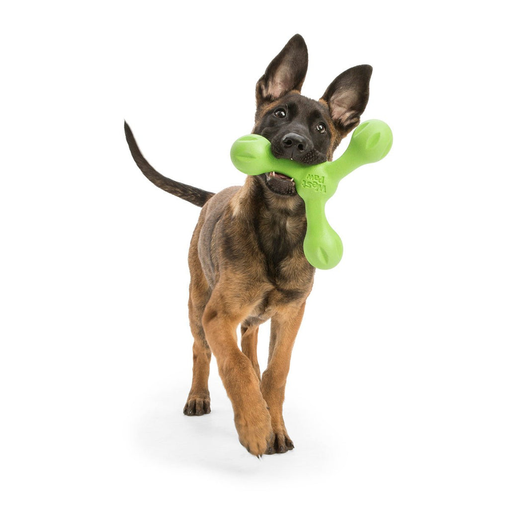West Paw Skamp Flyer Inspired Fetch Dog Toy