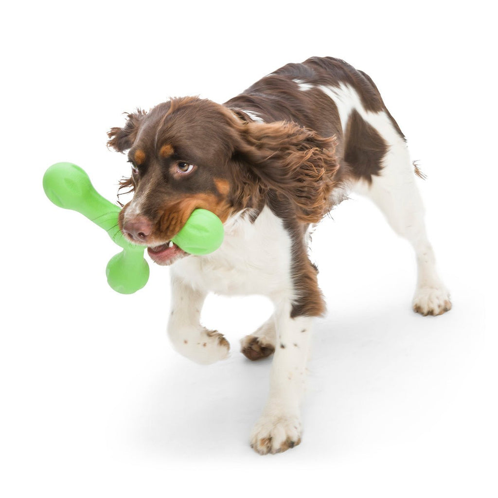 West Paw Skamp Flyer Inspired Fetch Dog Toy