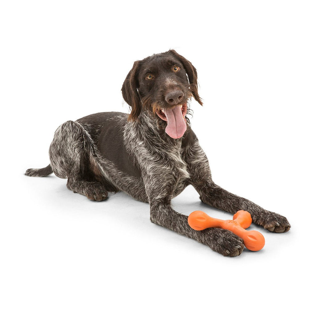 West Paw Skamp Flyer Inspired Fetch Dog Toy