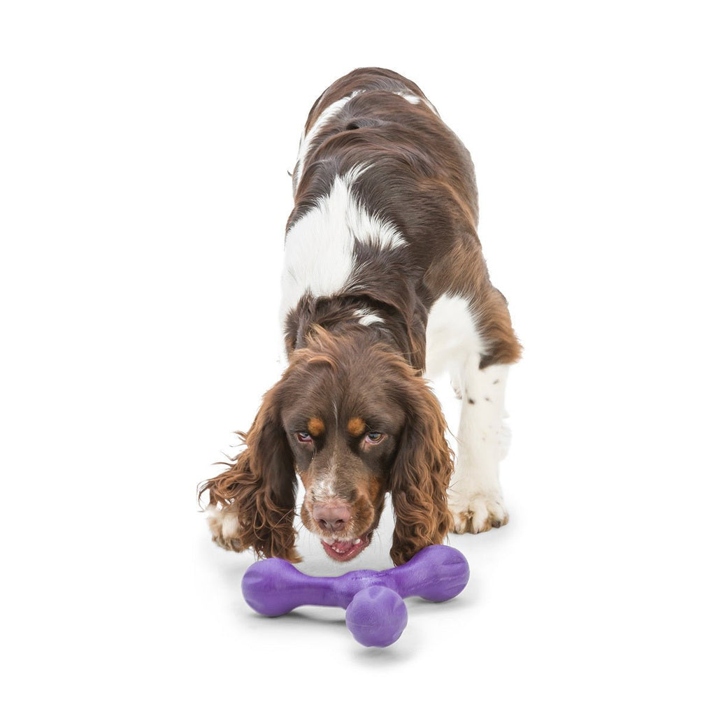 West Paw Skamp Flyer Inspired Fetch Dog Toy