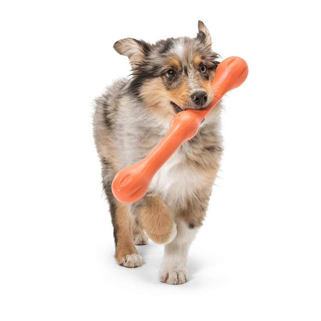 West Paw Zwig Tug & Fetch Stick Dog Toy