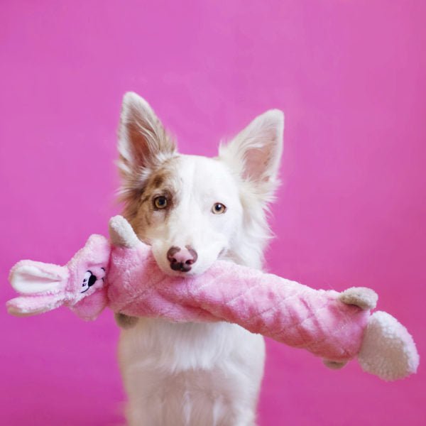 Zippy Paws Jigglerz Shakeable Dog Toy - Bunny